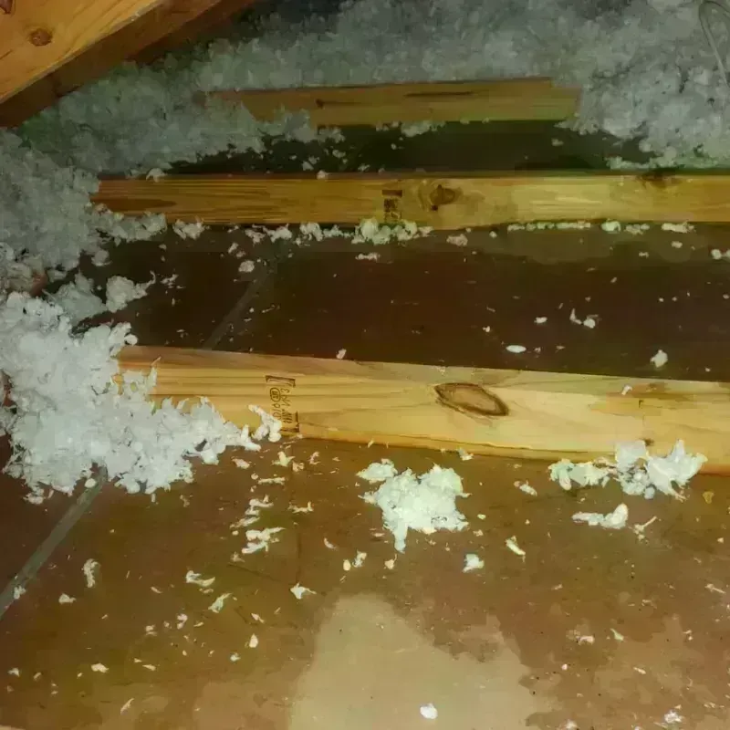 Attic Water Damage in Hampden Sydney, VA